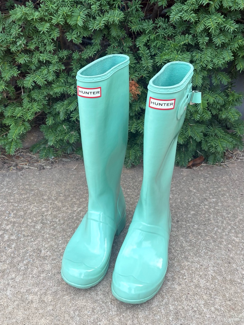 Hunter Women's Tall Rain Boots in Mint